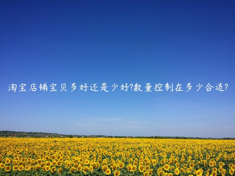 淘宝店铺宝贝多好还是少好?数量控制在多少合适?